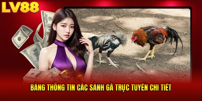 Bảng thông tin các sảnh gà trực tuyến chi tiết