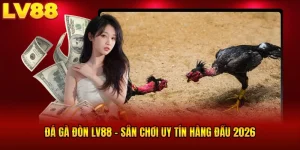 Đá Gà Đòn LV88 - Chiến Kê Lên Sàn, So Tài Cực Đã