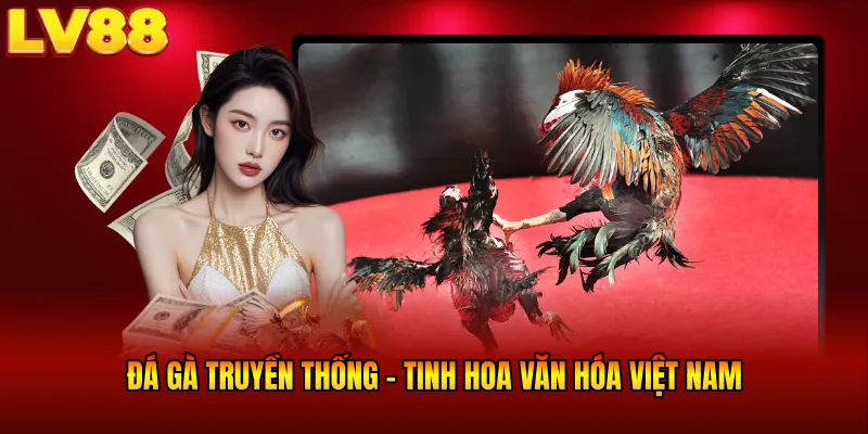 Đá Gà Truyền Thống LV88- Tinh Hoa Văn Hóa Của Việt Nam