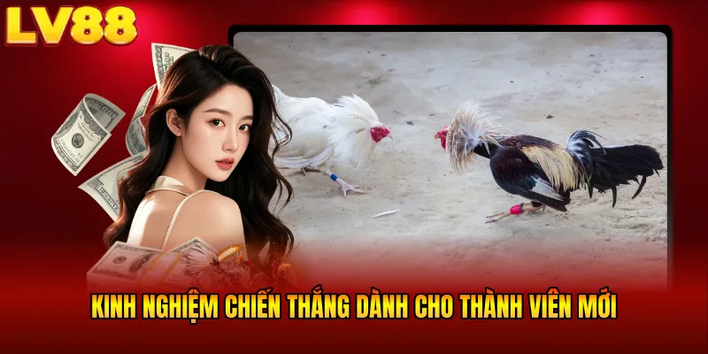 Kinh nghiệm chiến thắng dành cho thành viên mới