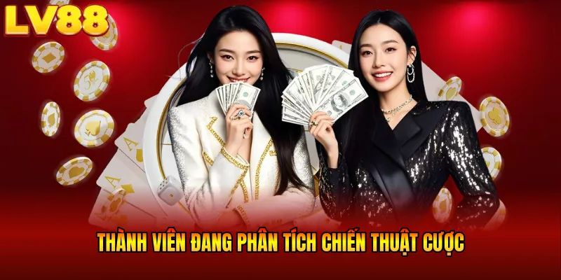 Thành viên đang phân tích chiến thuật cược