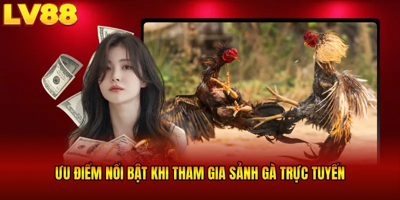 Ưu điểm nổi bật khi tham gia sảnh gà trực tuyến