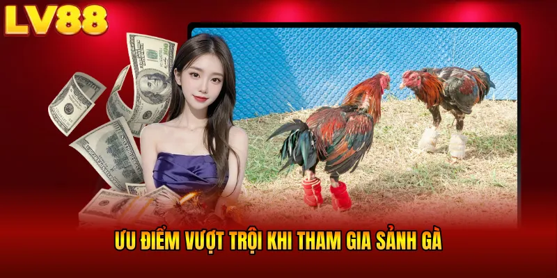 Ưu điểm vượt trội khi tham gia sảnh gà
